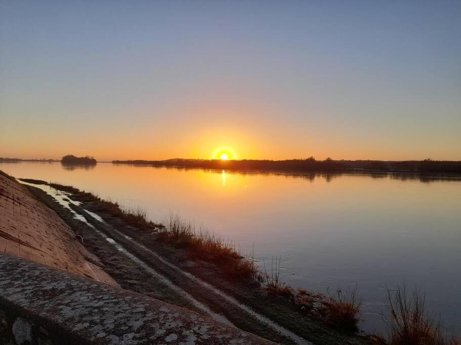 Gite En Bord De Loire Blaison-Saint-Sulpice Dış mekan fotoğraf