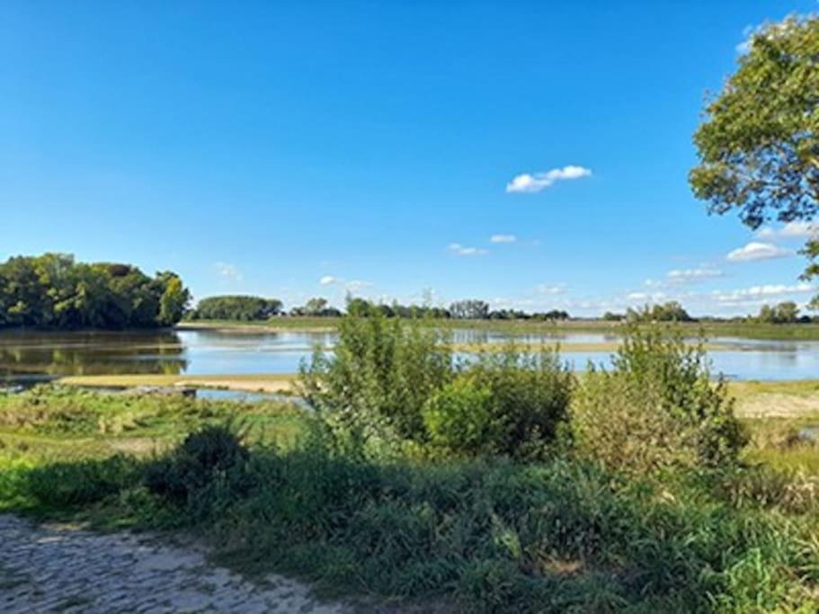Gite En Bord De Loire Blaison-Saint-Sulpice Dış mekan fotoğraf