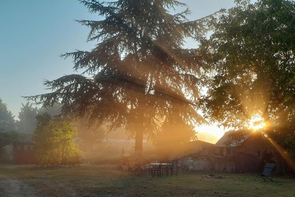 Gite En Bord De Loire Blaison-Saint-Sulpice Dış mekan fotoğraf