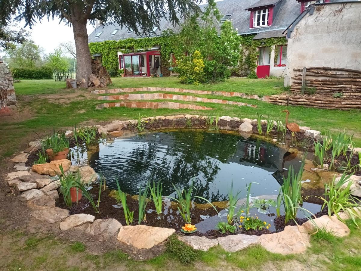 Gite En Bord De Loire Blaison-Saint-Sulpice Dış mekan fotoğraf